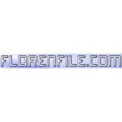 Florenfile.com 30 Days Premium Account