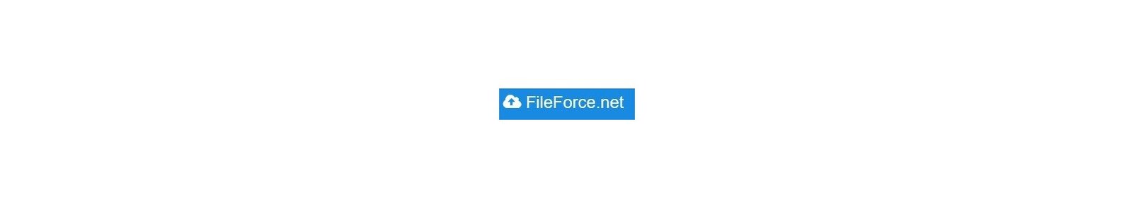 Fileforcenet Worldwide Reseller In India and worlwide